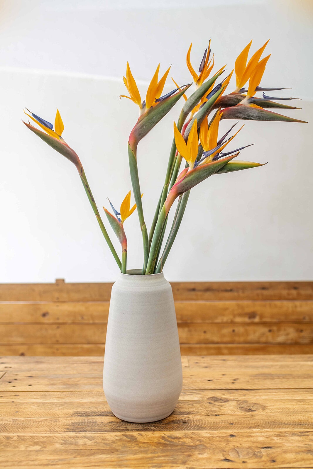 Magnolia Keramik Vase groß